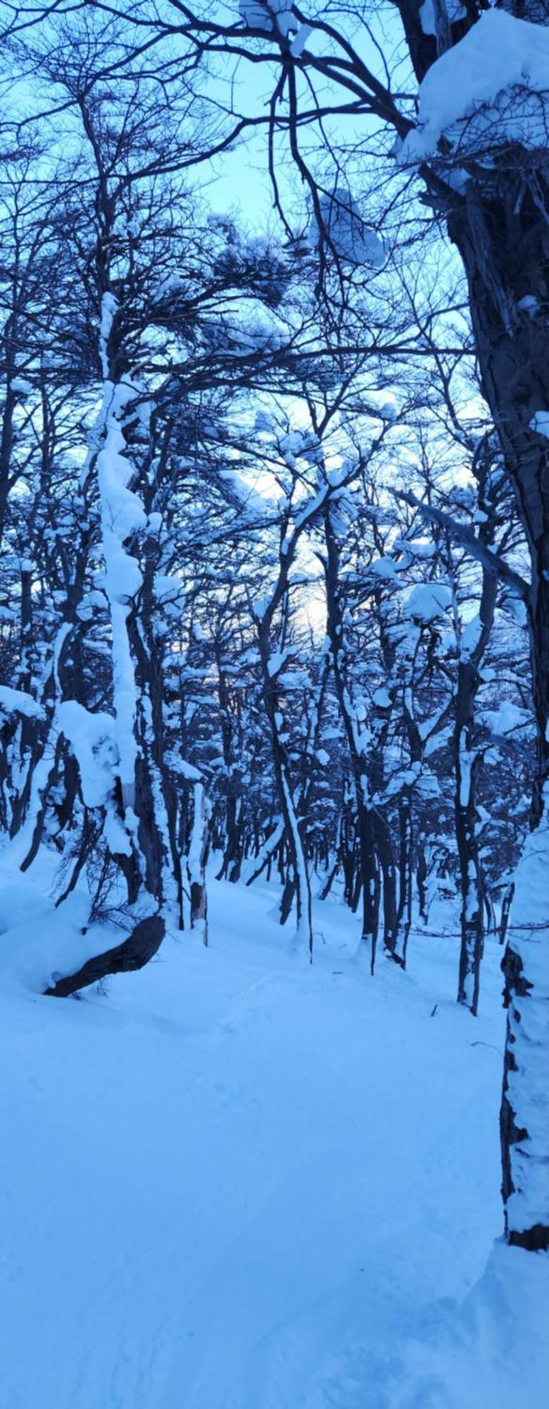 Valle Florido 1 Trevelín Dış mekan fotoğraf